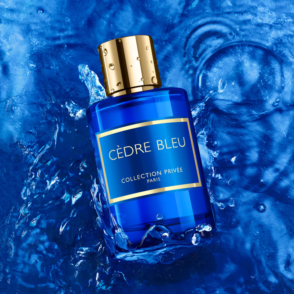 Cèdre BLUE