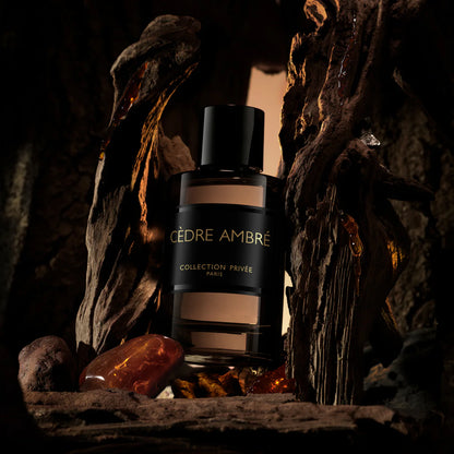 Cèdre Ambré 100 ML